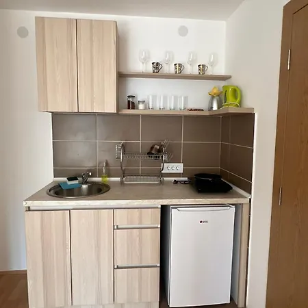 Ruza - House Of Roses *