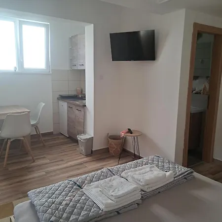 Ruza - House Of Roses *