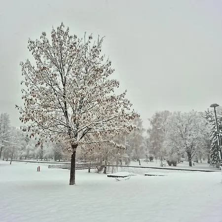 Ruza - House Of Roses *