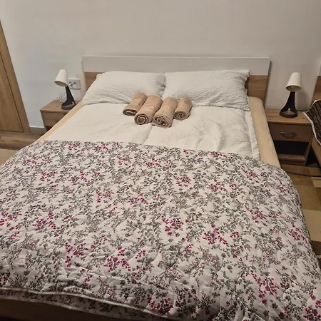 Ruza - House Of Roses Lejlighed Sokobanja