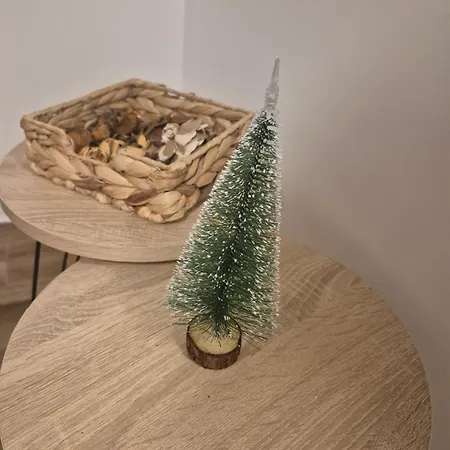 Ruza - House Of Roses *