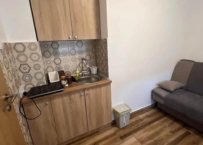 Ruza - House Of Roses Soko Banja