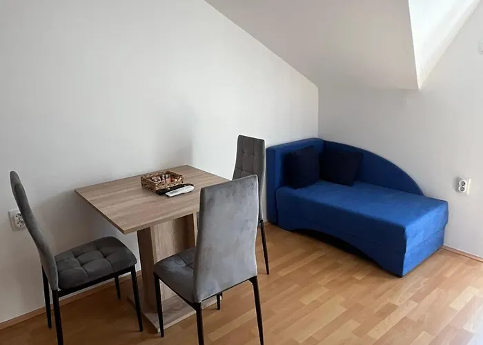 Διαμέρισμα Ruza - House Of Roses Soko Banja