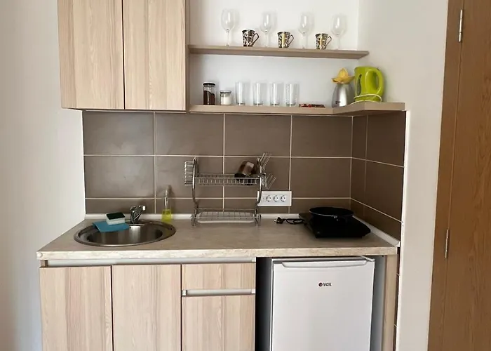 Ruza - House Of Roses *