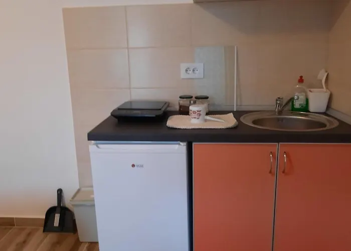 Ruza - House Of Roses *