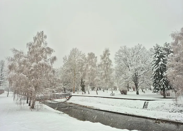 Ruza - House Of Roses Soko Banja