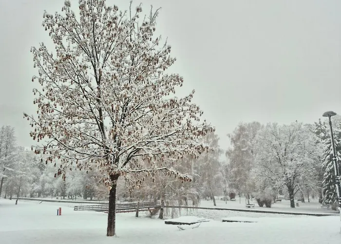 Ruza - House Of Roses *