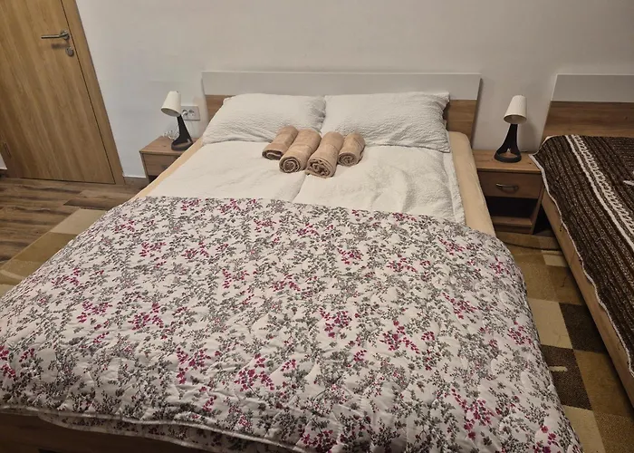 Ruza - House Of Roses Διαμέρισμα Soko Banja