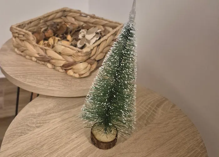 Ruza - House Of Roses *