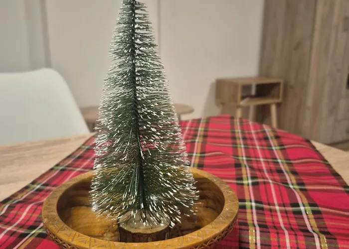 Ruza - House Of Roses